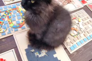 Zrzut ekranu 2026-01-08 161038 Zrzut ekranu 2026-01-08 161038